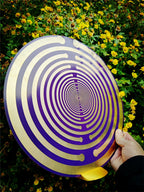 Sacred Geometric Energy Disk, Imported 33cm MWO Polarizing Disk, Lakhovsky Frequency, Purifying Space Energy Field