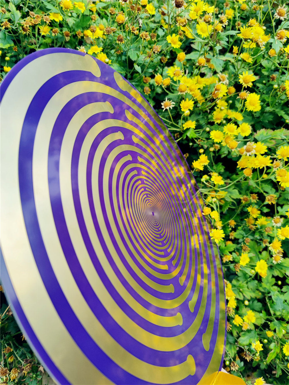 Sacred Geometric Energy Disk, Imported 33cm MWO Polarizing Disk, Lakhovsky Frequency, Purifying Space Energy Field