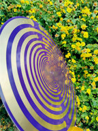 Sacred Geometric Energy Disk, Imported 33cm MWO Polarizing Disk, Lakhovsky Frequency, Purifying Space Energy Field
