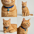 Crystal Chakra Pet Collar