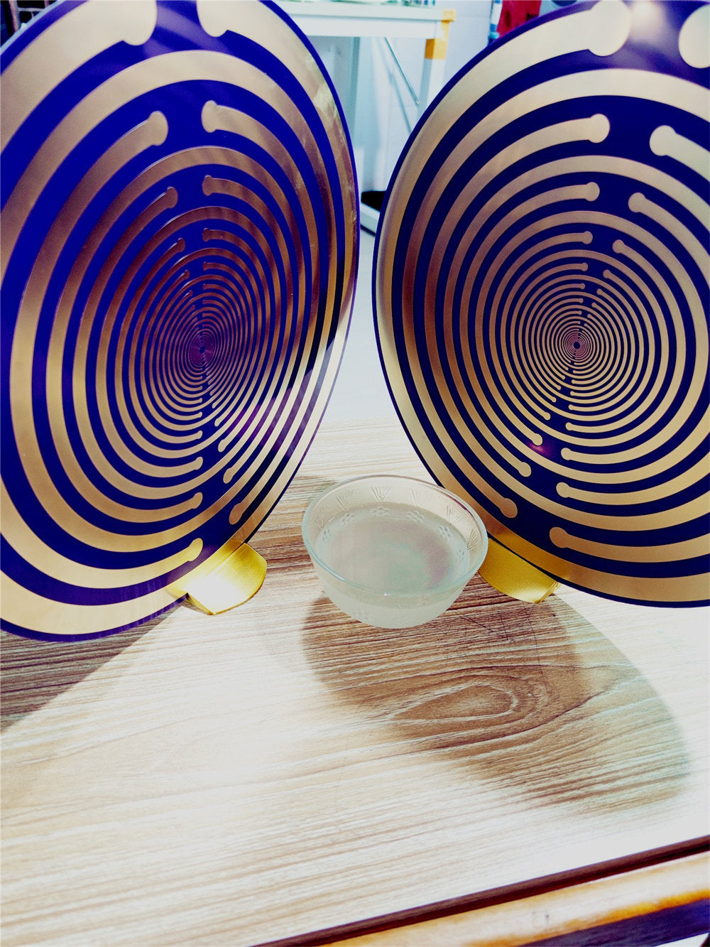 Sacred Geometric Energy Disk, Imported 33cm MWO Polarizing Disk, Lakhovsky Frequency, Purifying Space Energy Field