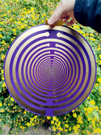 Sacred Geometric Energy Disk, Imported 33cm MWO Polarizing Disk, Lakhovsky Frequency, Purifying Space Energy Field