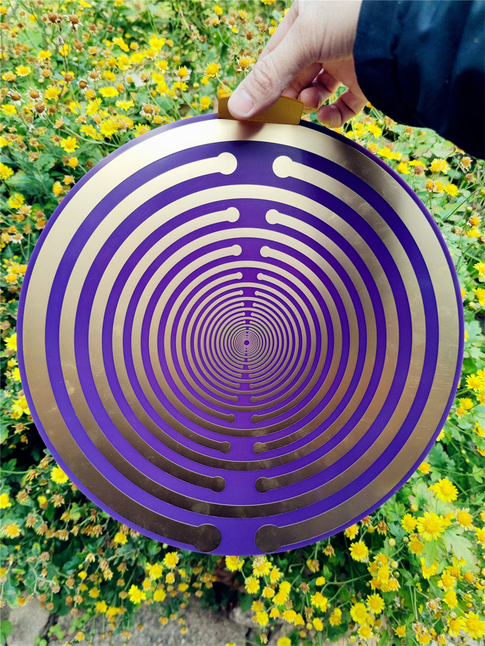 Sacred Geometric Energy Disk, Imported 33cm MWO Polarizing Disk, Lakhovsky Frequency, Purifying Space Energy Field