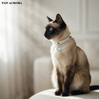 Natural Aquamarine "Ocean Guardian" Pet Collar – Luxury Genuine Leather Cat & Dog Collar, March Birthstone, Communication & Courage