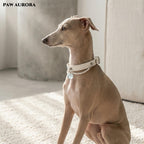 Natural Aquamarine "Ocean Guardian" Pet Collar – Luxury Genuine Leather Cat & Dog Collar, March Birthstone, Communication & Courage
