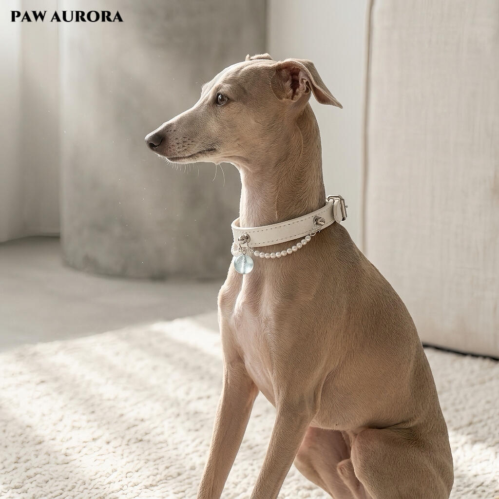 Natural Aquamarine "Ocean Guardian" Pet Collar – Luxury Genuine Leather Cat & Dog Collar, March Birthstone, Communication & Courage