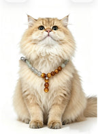 Vintage Tea Glow – Agate & Crystal Pet Guardian Necklace