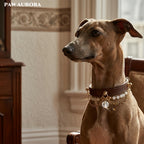 Natural White Asse Quartz Pet Crystal | Cat and Dog Universal Luxury Pet Leather Collar