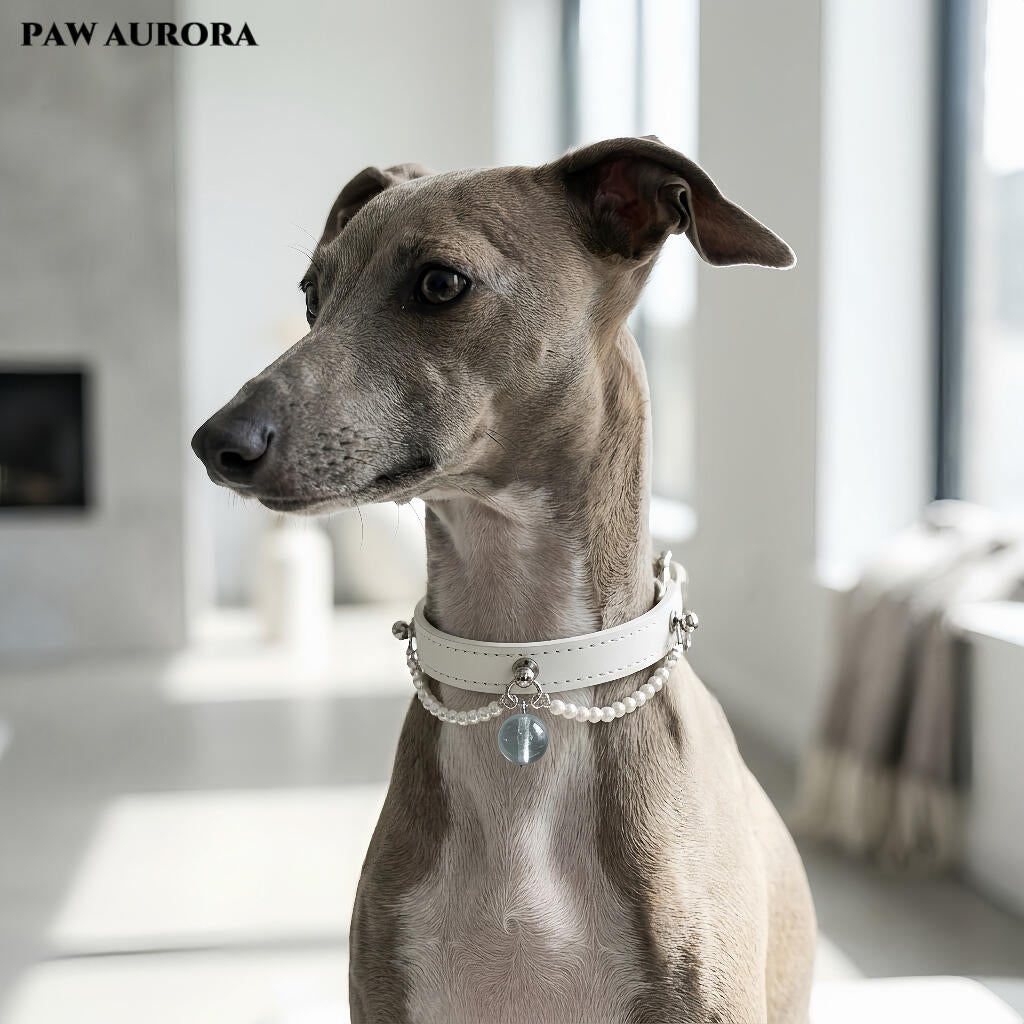 Natural Aquamarine "Ocean Guardian" Pet Collar – Luxury Genuine Leather Cat & Dog Collar, March Birthstone, Communication & Courage
