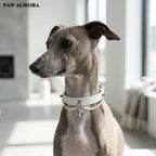 Natural Aquamarine "Ocean Guardian" Pet Collar – Luxury Genuine Leather Cat & Dog Collar, March Birthstone, Communication & Courage