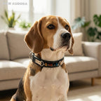 Handmade Natural Crystal & Genuine Leather Pet Collar – Luxury Cat & Dog Collar, Semi-Bespoke, Crystal Healing & Everyday Wear