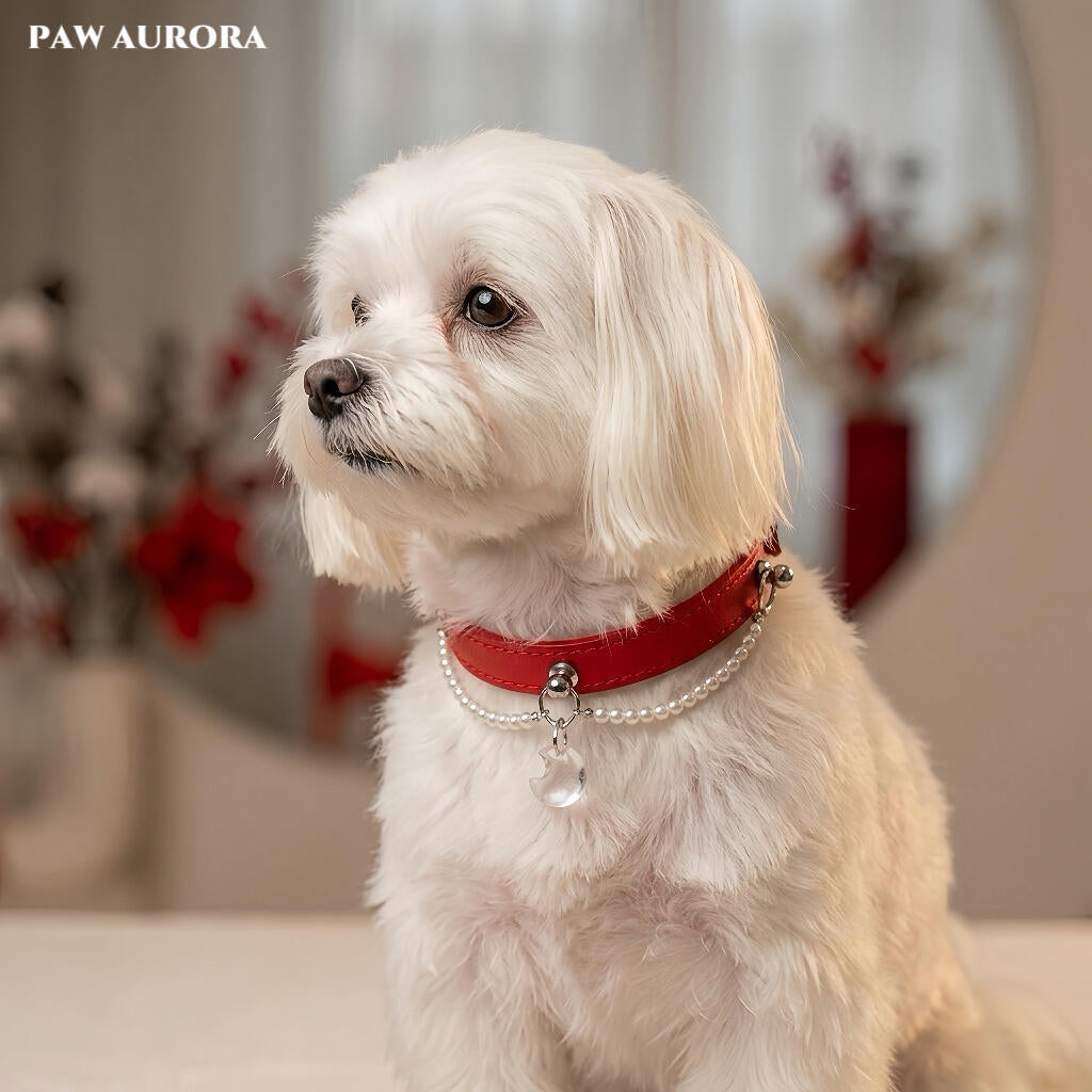 Vermilion Red & Moonlight: Luxury White Quartz Pearl Collar for Cats & Dogs