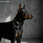 Handmade Natural Crystal & Genuine Leather Pet Collar – Luxury Cat & Dog Collar, Semi-Bespoke, Crystal Healing & Everyday Wear
