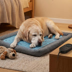Zenith Pet Wellness PEMF Bed