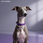 Starlight Dreamer | Amethyst Purple & Crystal Star Pearl Collar