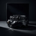 Guardian Shield | Black Obsidian Protection Pet Collar