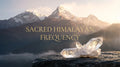 Himalayan Clear Quartz Mala Bracelet - Pure Light