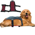 NIR Red Light Therapy Mat | Full-Body Bio-Restoration